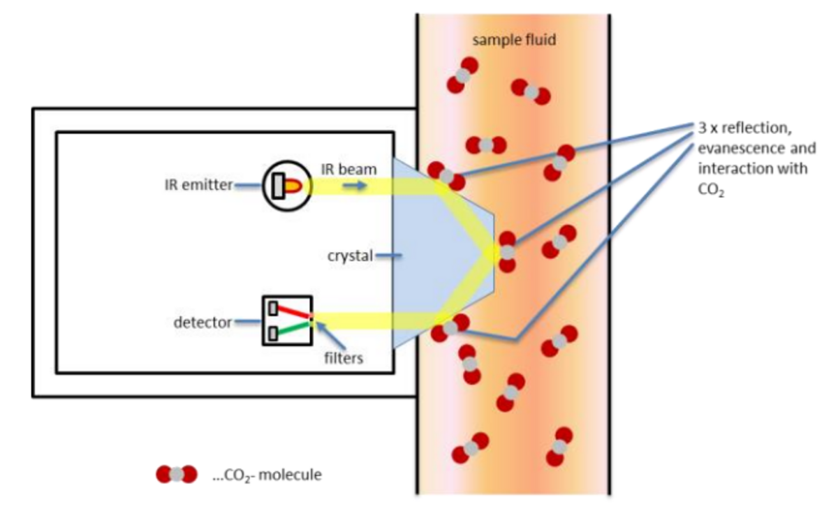 Carbon dioxide in beverages | Anton Paar Wiki