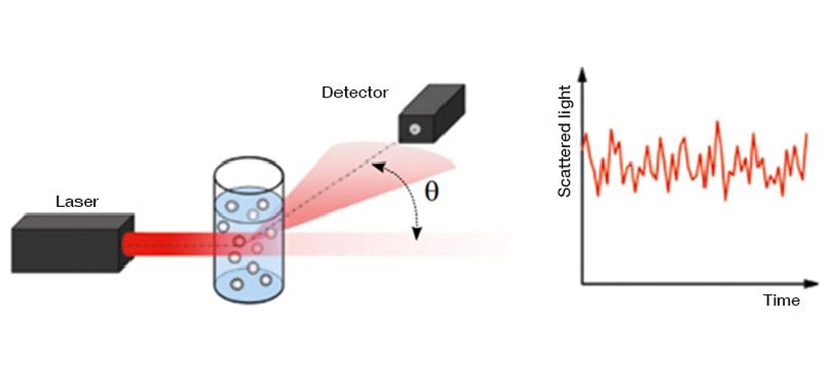 The principles of dynamic light scattering | Anton Paar Wiki